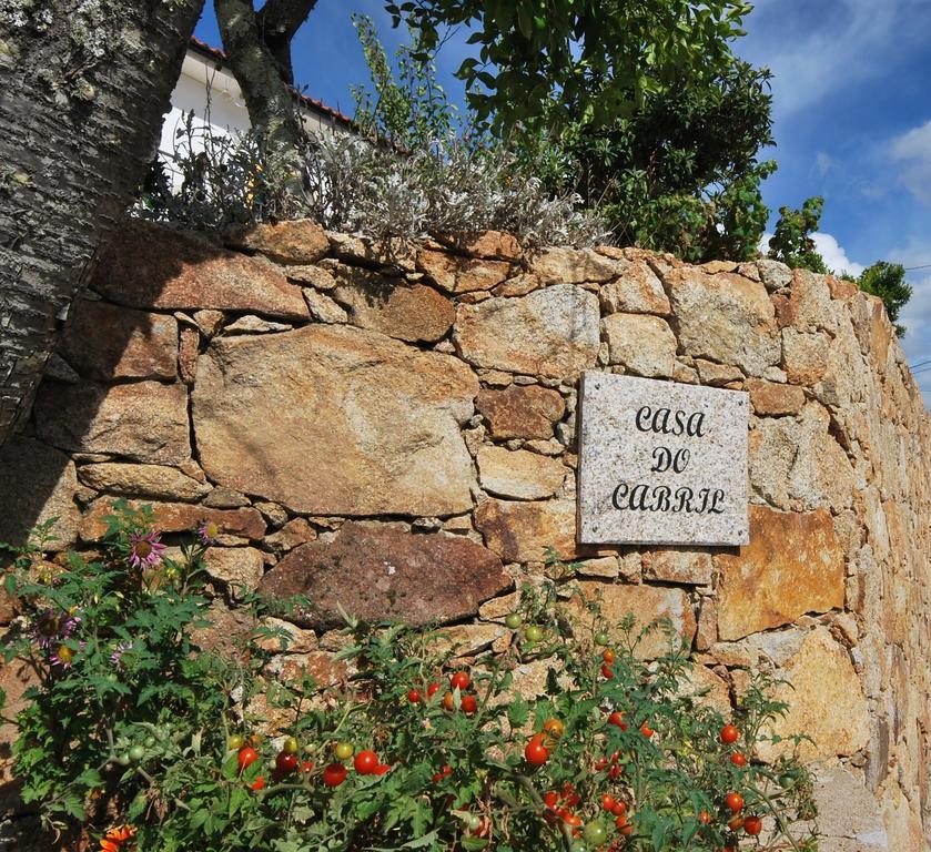 Casa Do Cabril Holiday home Pedrogao Pequeno